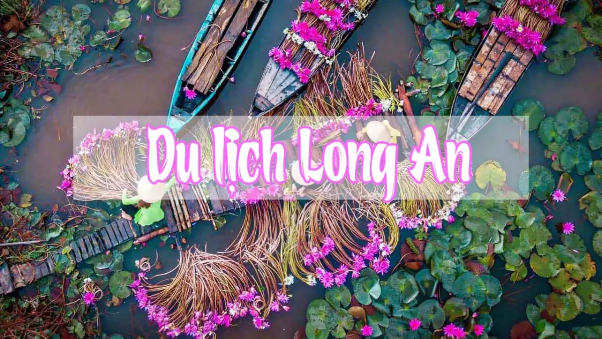 Kinh nghiệm du lịch Long An