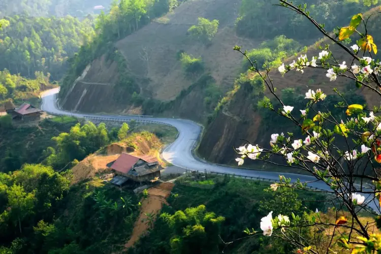 Kinh nghiệm du lịch Điện Biên