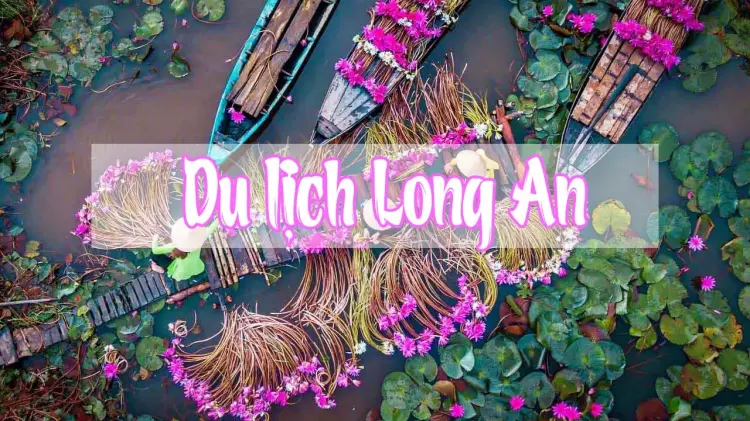 Kinh nghiệm du lịch Long An