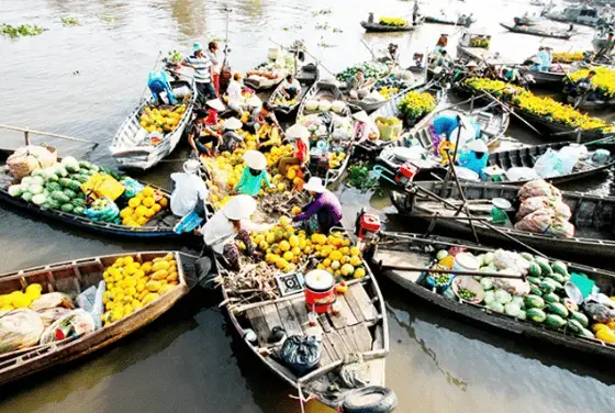 Kinh nghiệm du lịch Tiền Giang